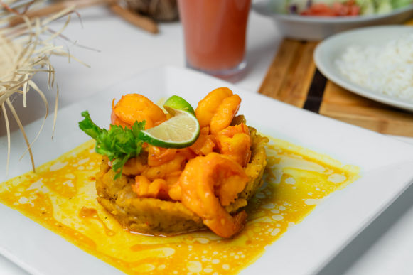 Tropical Dish